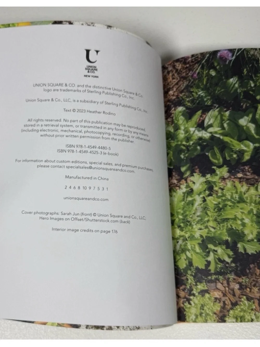 Veg Out; A Stress-Free Guide to Creating Your First Vegetable Garden
